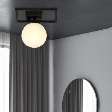 IMAGO 1E FEKETE/OPAL