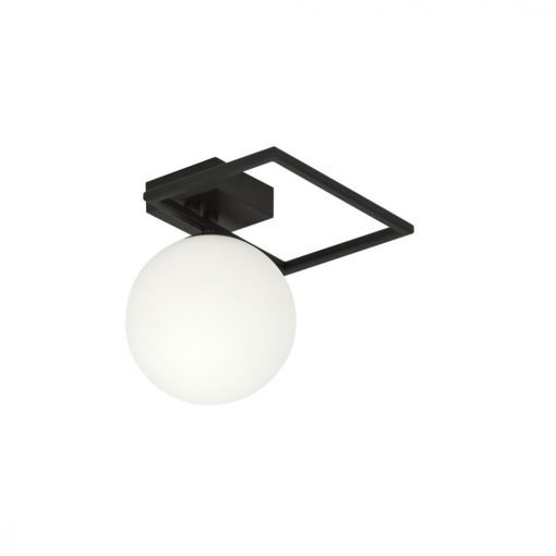 IMAGO 1E FEKETE/OPAL