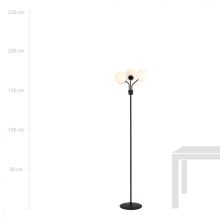 nemVA LP3 FEKETE/OPAL