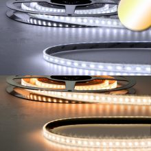 LED CRI923/950 flexibilis szalag, 24V, 10W|10W, IP68, fehér dinamikus, 240 LED/m