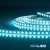   LED SIL RGB+WWW flexibilis szalag, 24V, 19W, 4in1 chip, 96 LED/m
