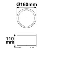 LED mennyezetre szerelt spot IP65, fekete, 25W, ColorSwitch 3000|4000|5000K, dimmelheto