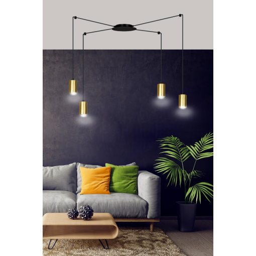 TRAKER 4 BL/ARANY