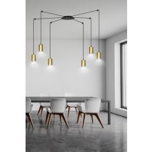 TRAKER 6 BL/ARANY
