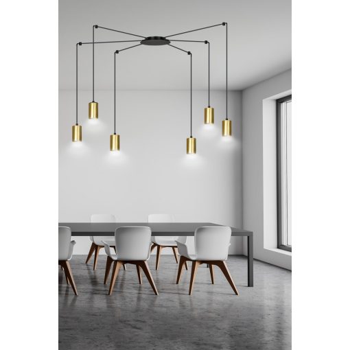 TRAKER 6 BL/ARANY