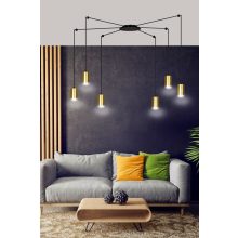 TRAKER 6 BL/ARANY