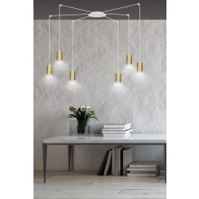 TRAKER 6 WH/ARANY