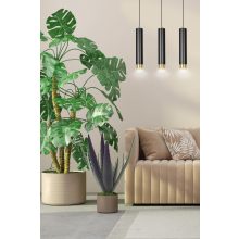 KIBO 3 BL/ARANY