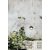   Spica Wall Lamp 16/2061 Textured Anthracite, LED 4W 3000K 175lm, CRI80 CL.I IP65
