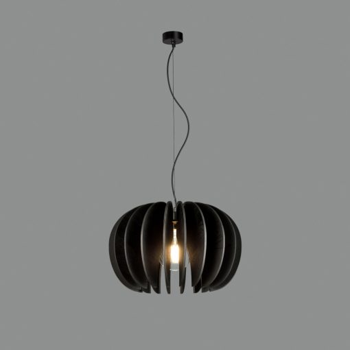 Rosa Del Desierto Pendant lamp 3912/45 Black, LED E27 15W, CL.I
