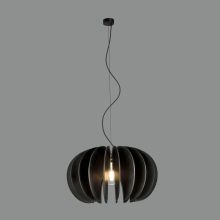Rosa Del Desierto Pendant lamp 3912/60 Black, LED E27 15W, CL.I
