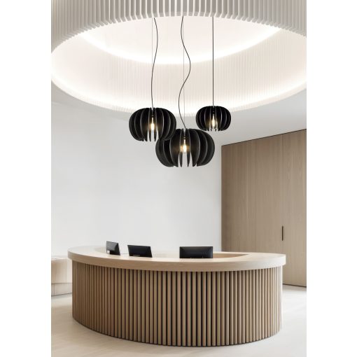 Rosa Del Desierto Pendant lamp 3912/60 Black, LED E27 15W, CL.I