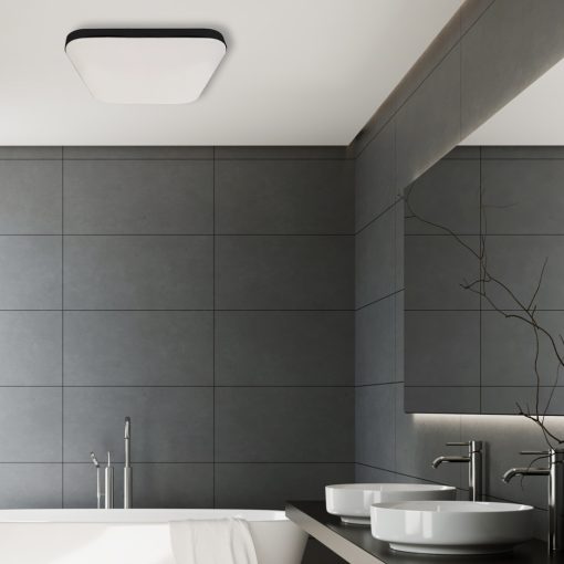 Ceiling  NEMO BLACK 17W LED