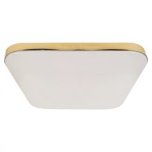 Ceiling  NEMO GOLD 17W LED