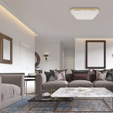 Ceiling  NEMO GOLD 17W LED