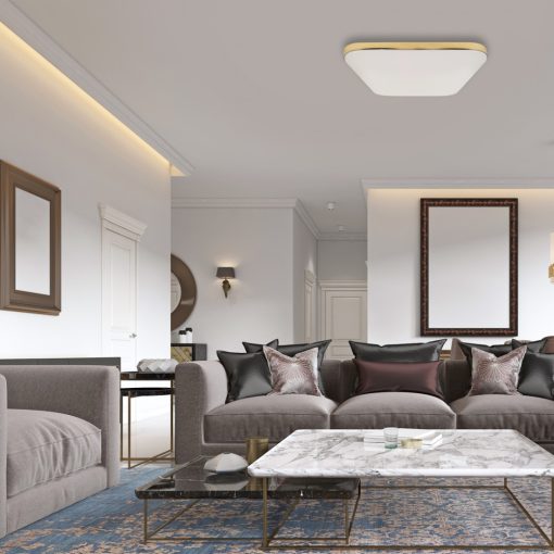 Ceiling  NEMO GOLD 17W LED