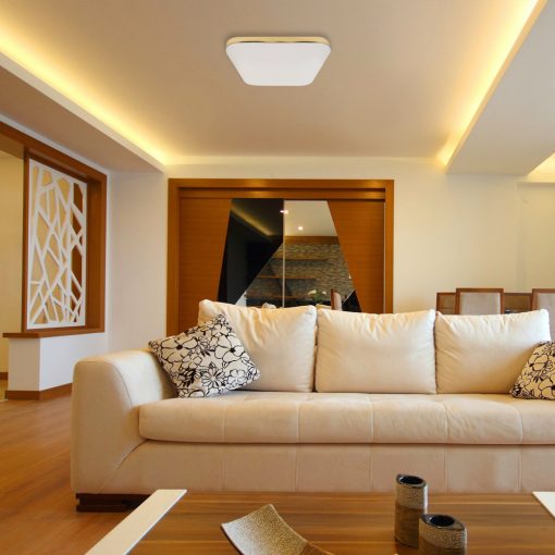 Ceiling  NEMO GOLD 17W LED