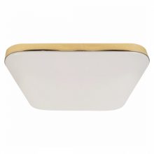 Ceiling  NEMO GOLD 17W LED