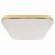 Ceiling  NEMO GOLD 17W LED