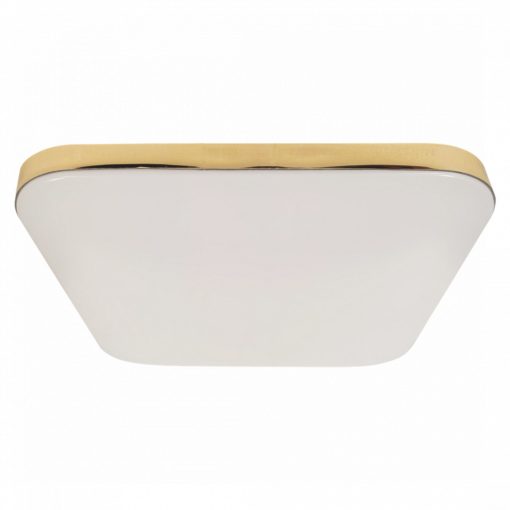 Ceiling  NEMO GOLD 17W LED