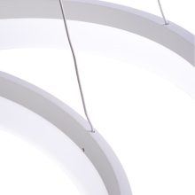 Pendant lamp RING 60W LED + PILOT