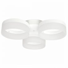 Ceiling  lamp RING 36W LED