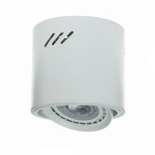 Ceiling  lamp TUBO WHITE 1xAR111 (BEZ ŻARÓWKI)