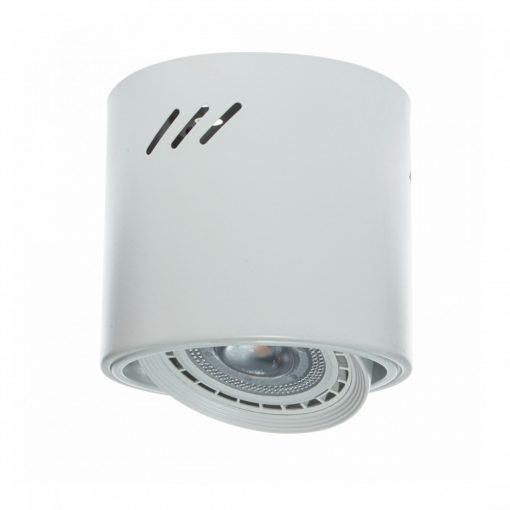 Ceiling  lamp TUBO WHITE 1xAR111 (BEZ ŻARÓWKI)
