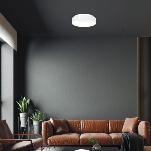 Ceiling  OHIO 24W LED Ø450mm