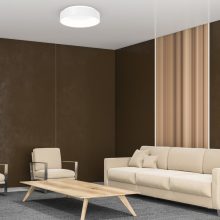 Ceiling  OHIO 24W LED Ø450mm