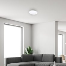 Ceiling  SIENA 25W LED Ø350 mm + pilot