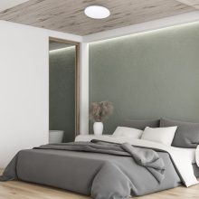 Ceiling  SIENA 25W LED Ø350 mm + pilot