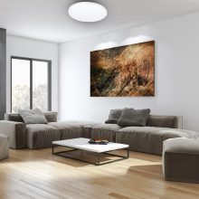 Ceiling  SIENA 72W LED Ø550 mm + pilot