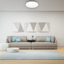 Ceiling  SIENA 72W LED Ø550 mm + pilot