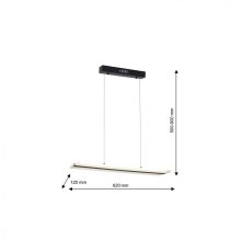 Pendant lamp RAY 24W LED