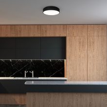 Ceiling  OHIO BLACK 24W LED Ø450mm