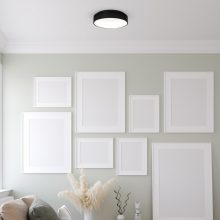 Ceiling  OHIO BLACK 24W LED Ø450mm