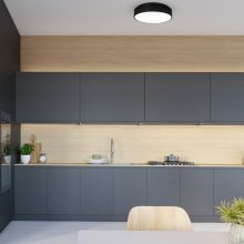 Ceiling  OHIO BLACK 24W LED Ø450mm