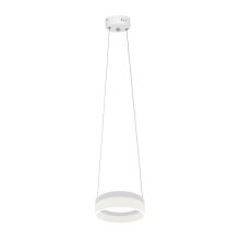 Pendant lamp RING 12W LED