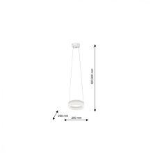 Pendant lamp RING 12W LED