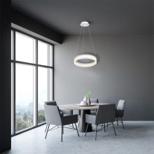 Pendant lamp RING 24W LED