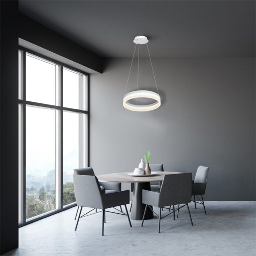 Pendant lamp RING 24W LED