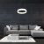 Pendant lamp RING 24W LED