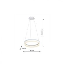 Pendant lamp RING 24W LED