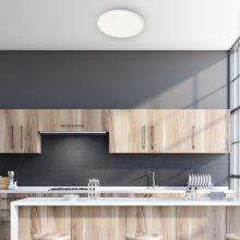 Ceiling  CRUZ 66W LED Ø500mm Ściemnialny+ Pilot