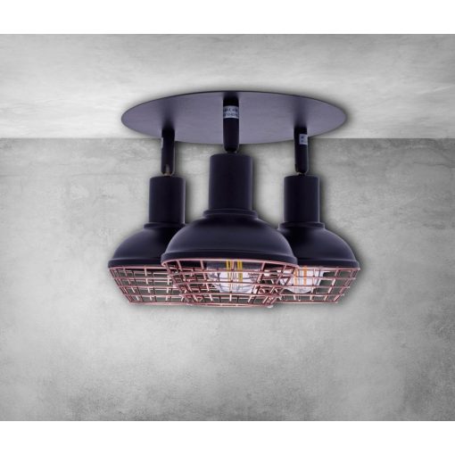 Ceiling  lamp LOGAN 3xE14