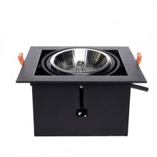 Flush-mounted luminaire Plaza 1xGU10 AR111 BLACK
