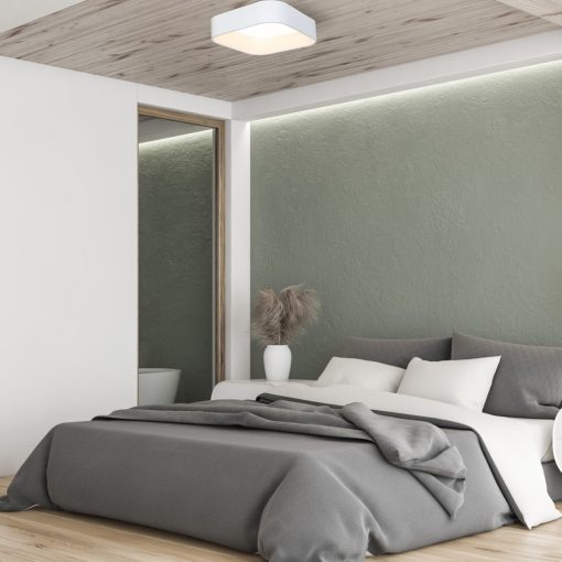 Ceiling  ASTRO WHITE 24W LED