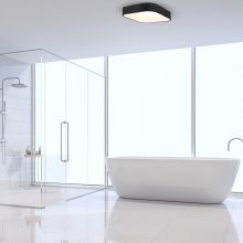 Ceiling  ASTRO BLACK 24W LED