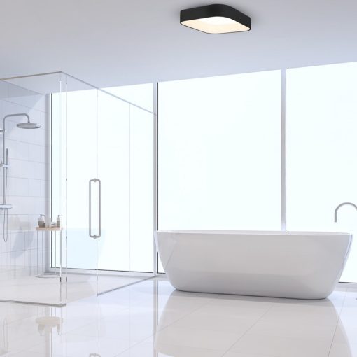 Ceiling  ASTRO BLACK 24W LED